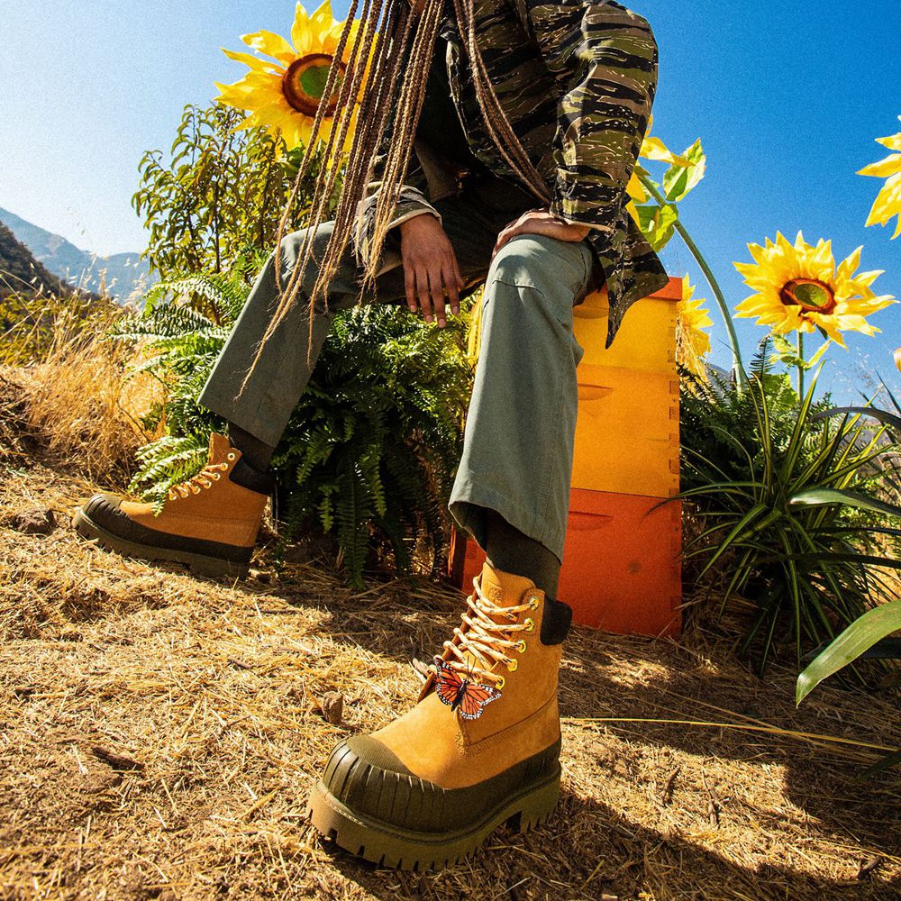 Timberland Mens 6-Inch Boots Bee Line x Waterproof Rubber Toe - Brown - India GC6314527